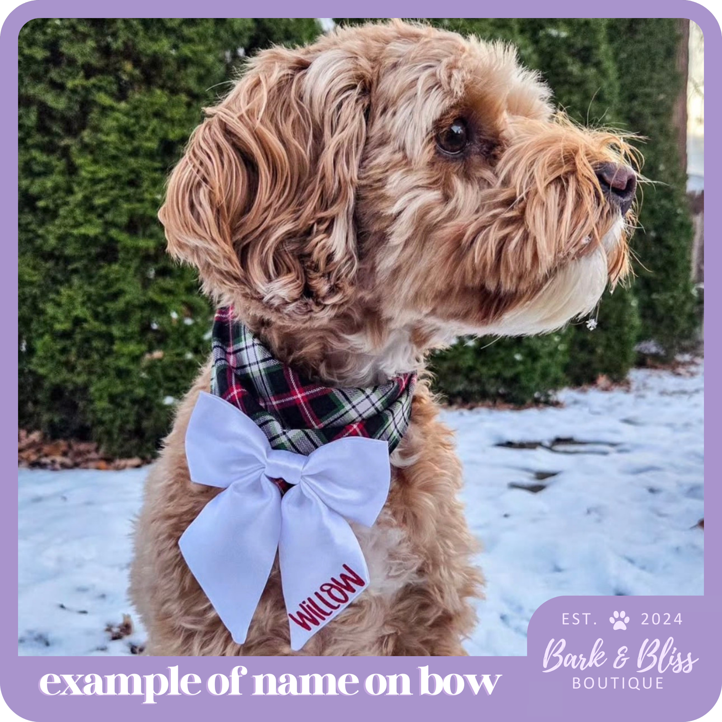 JB X B&B Collab Christmas Red Bandana