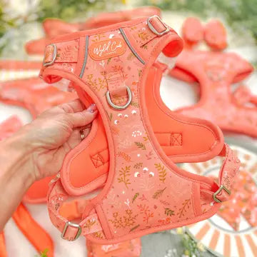 Step & Switch® Dog Harness: Chiswick Papaya