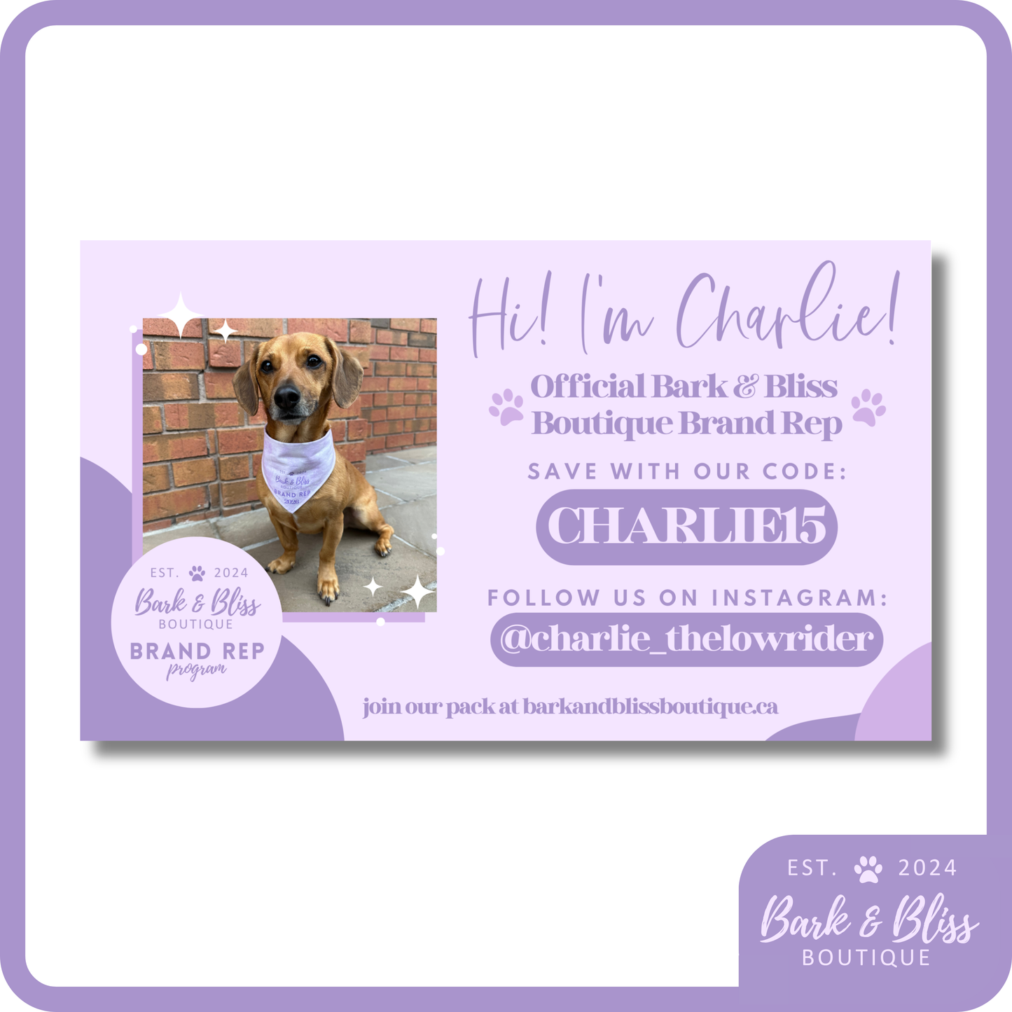 Brand Rep Cards