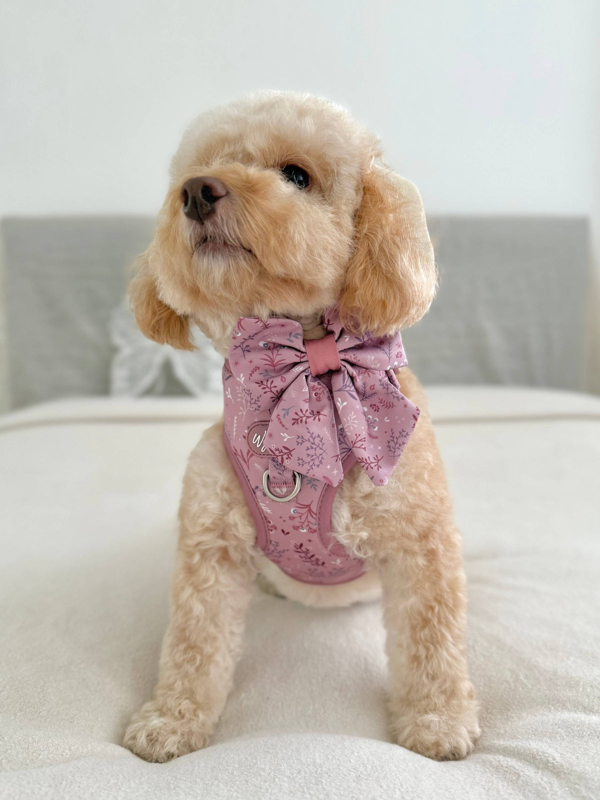 Dog Sailor Bow: Chiswick Rosewood