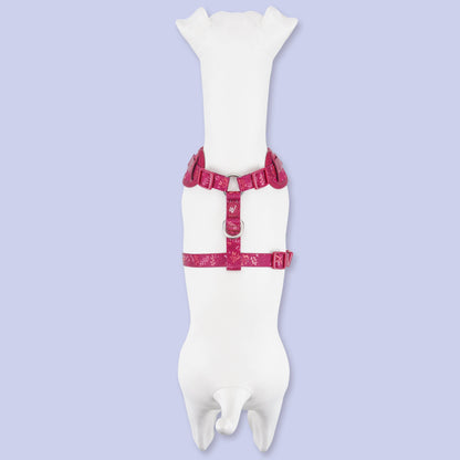 Adjustable Dog Harness: Chiswick Dragonfruit