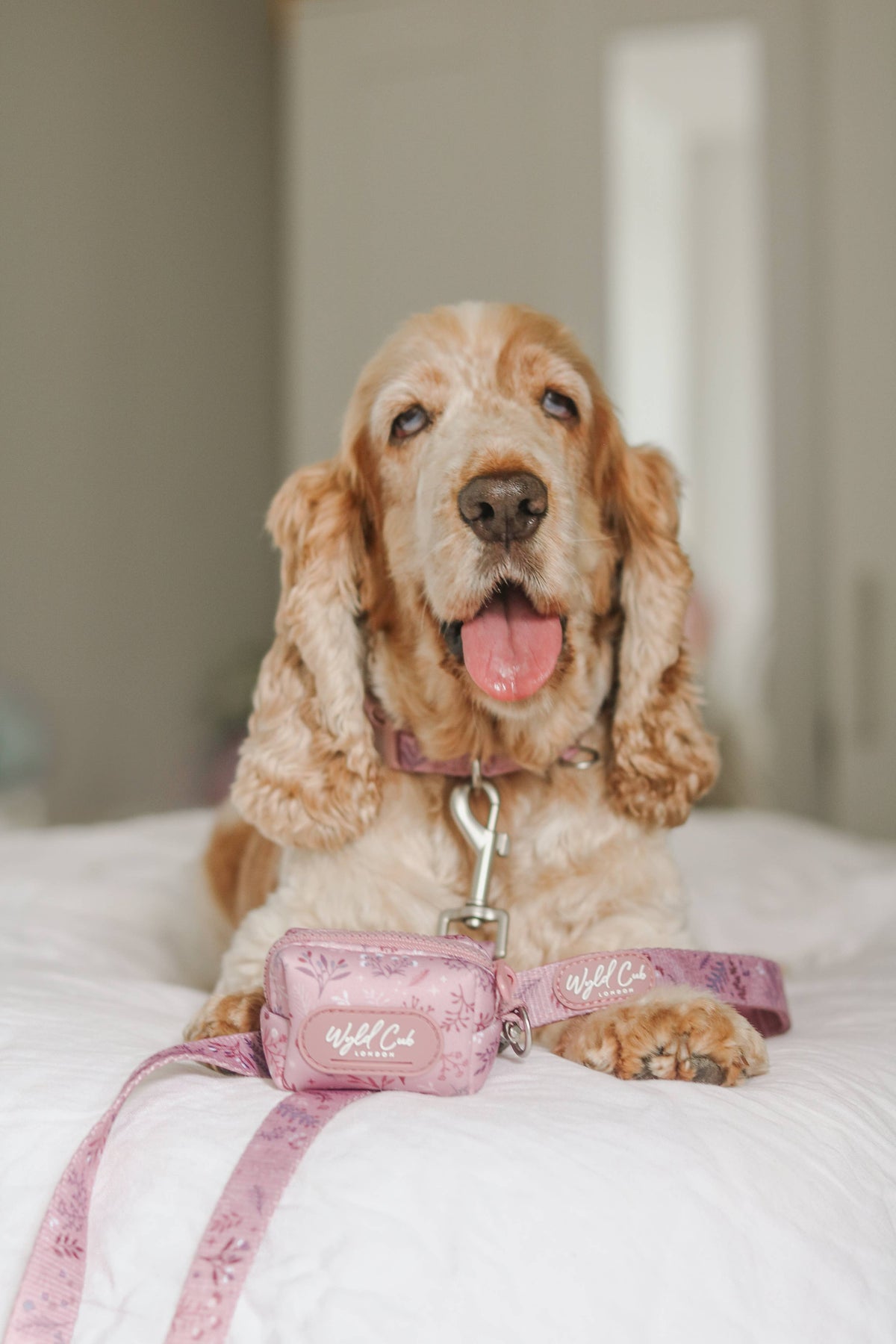 Dog Poop Bag Holder: Chiswick Rosewood