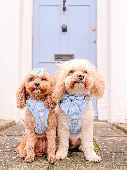 Dog Sailor Bow: Belgravia Macaron