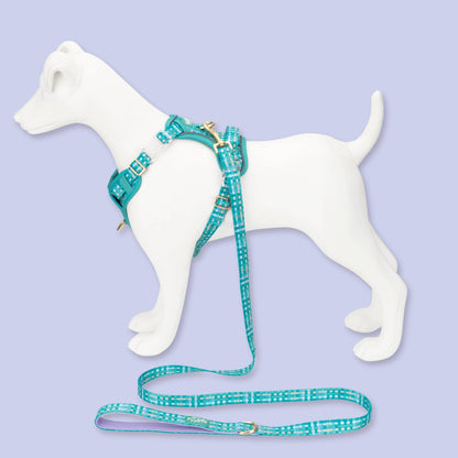 Dog Lead: Belgravia Sweetpea