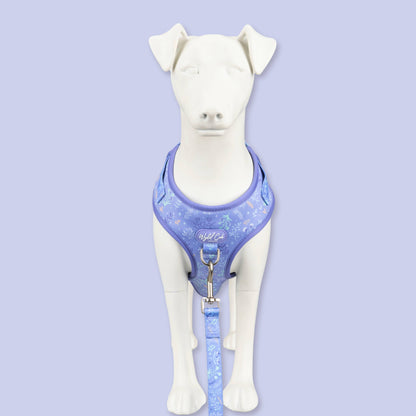 Adjustable Dog Harness: Chiswick Aeris