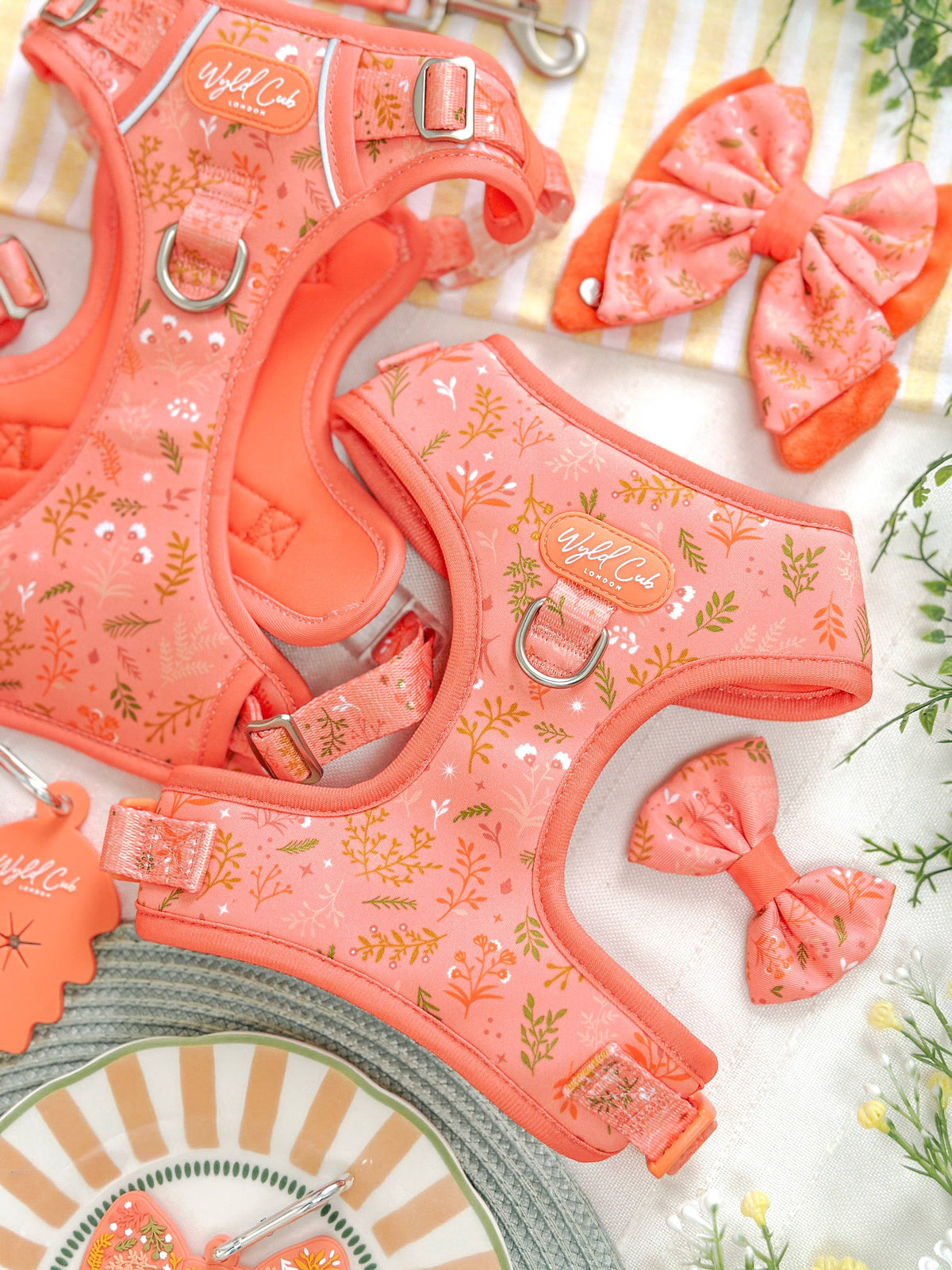 Adjustable Dog Harness: Chiswick Papaya
