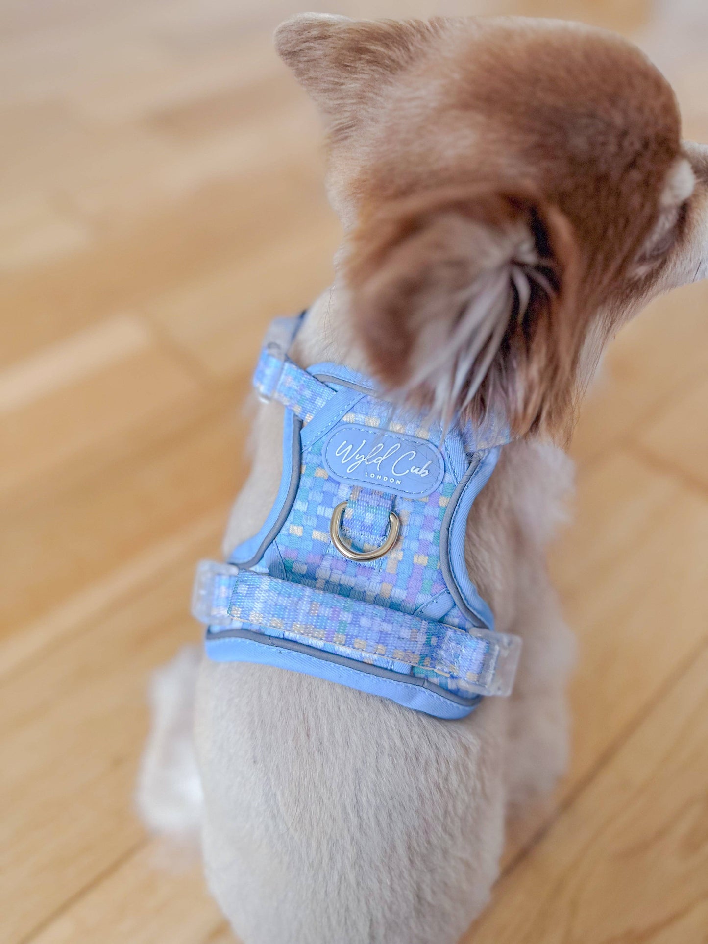 Step & Switch® Dog Harness: Belgravia Macaron