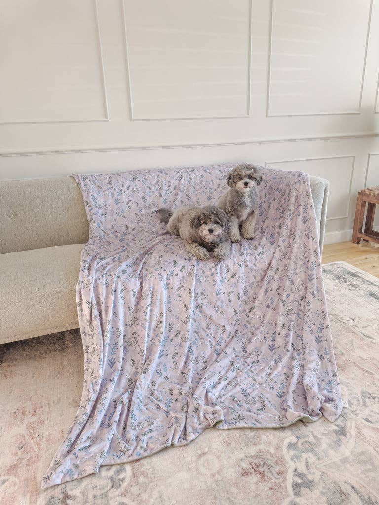 Blanket: Chiswick Thistle