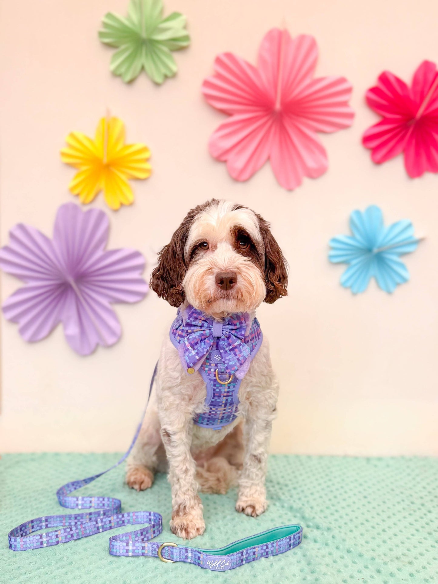 Dog Lead: Belgravia Sugarplum