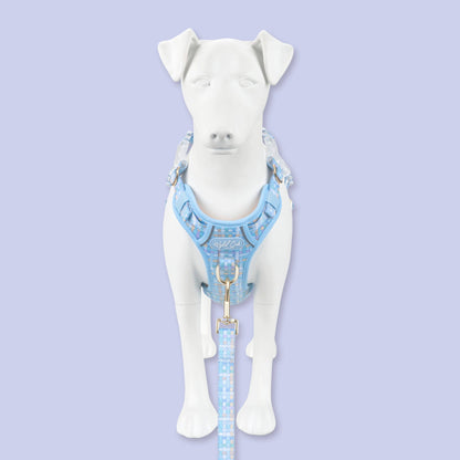 Step & Switch® Dog Harness: Belgravia Macaron