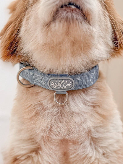 Adjustable Dog Collar: Chiswick Dovetail