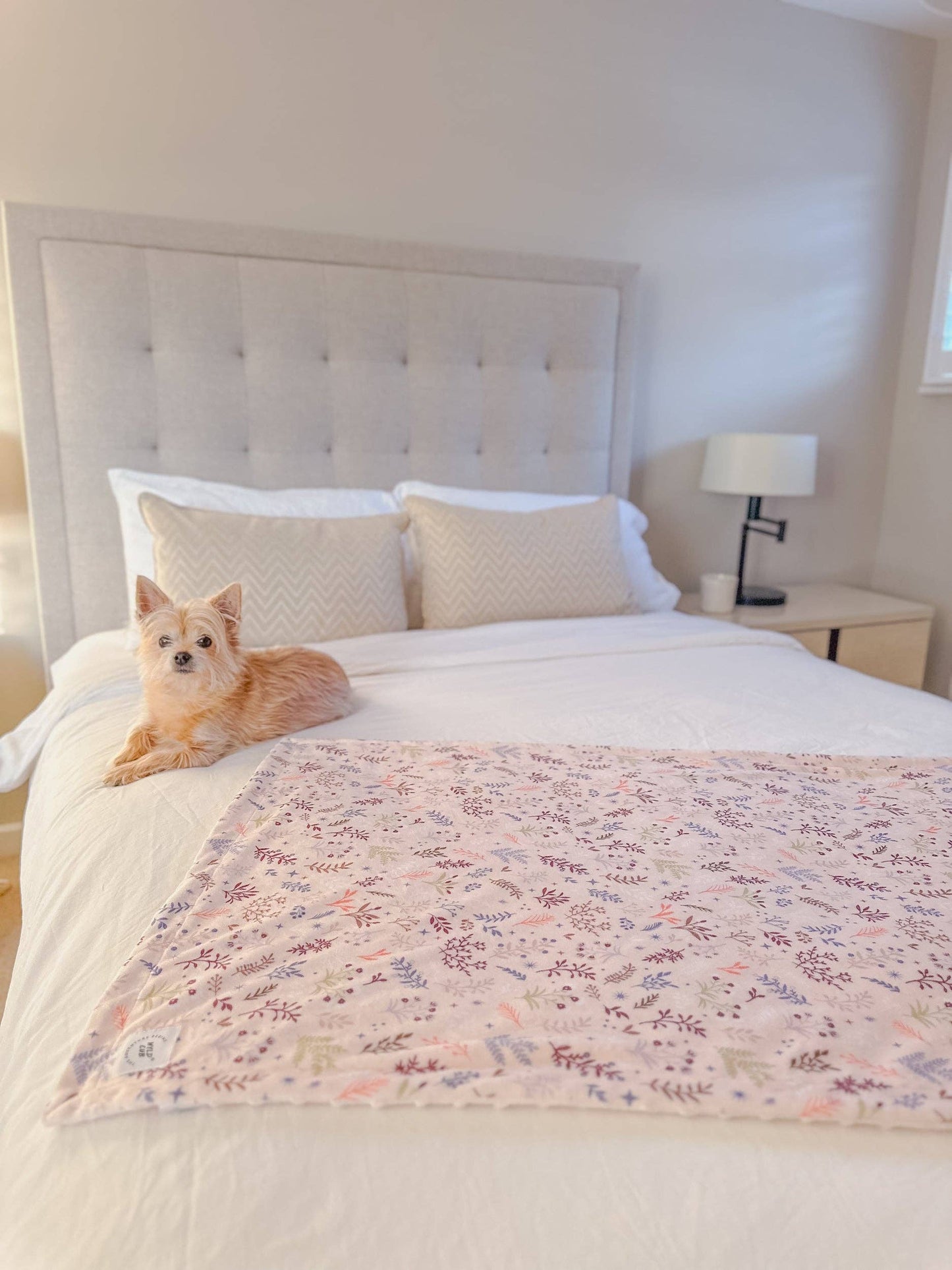 Blanket: Chiswick Oyster