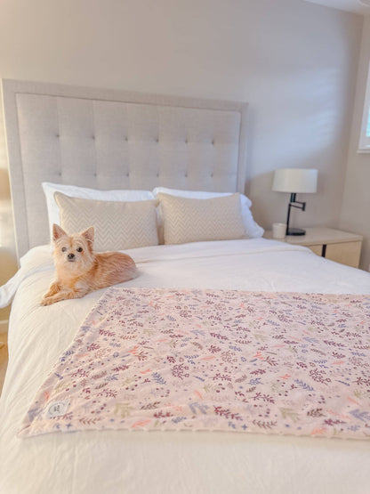 Blanket: Chiswick Oyster