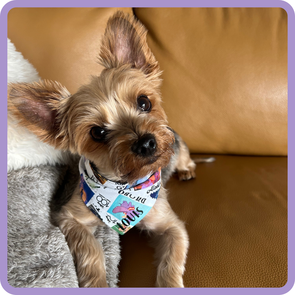 Customer photo for 100 Years of Wonder Bandana