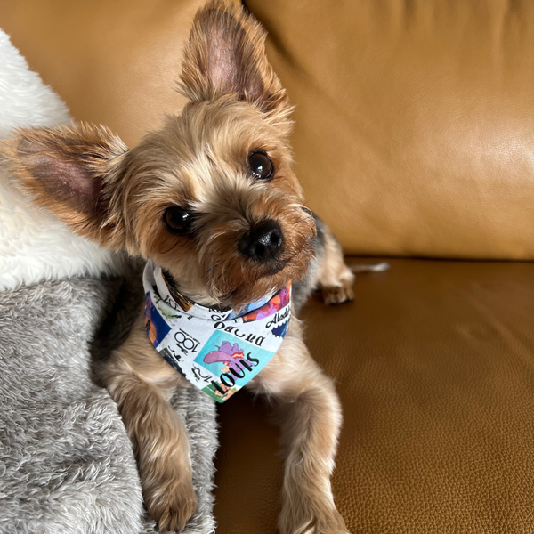 Customer photo for 100 Years of Wonder Bandana