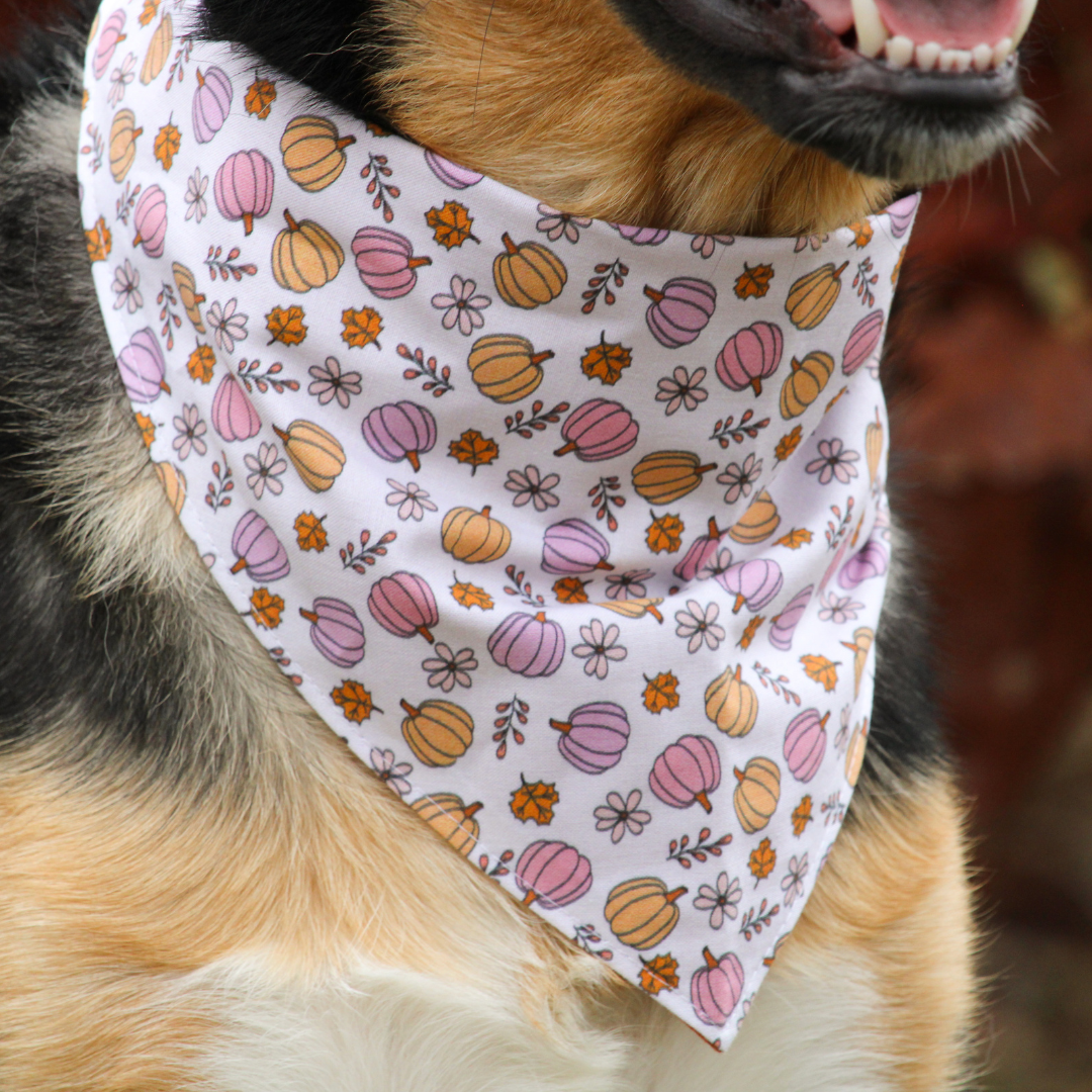 Pumpkins Bandana