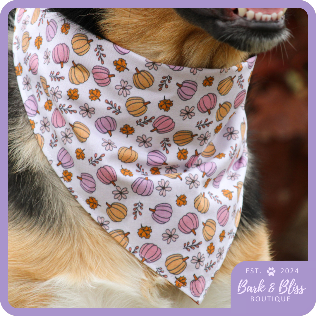 Pumpkins Bandana