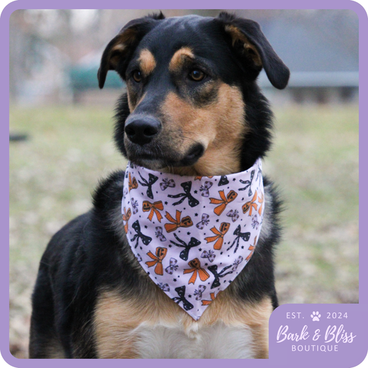 Halloween Bows Bandana