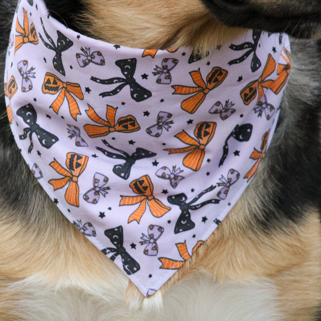 Halloween Bows Bandana