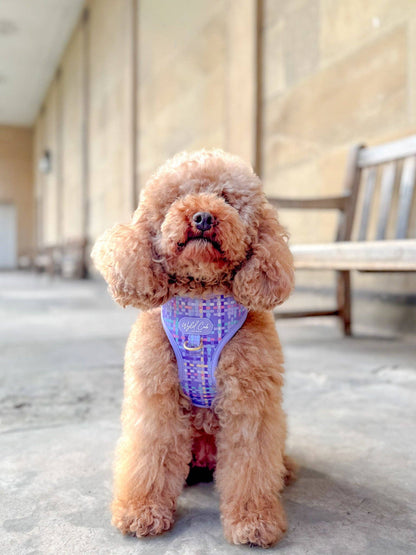 Adjustable Dog Harness: Belgravia Sugarplum
