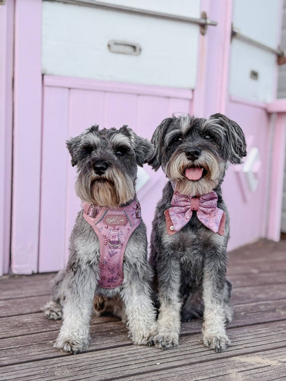 Step & Switch® Dog Harness: Chiswick Rosewood