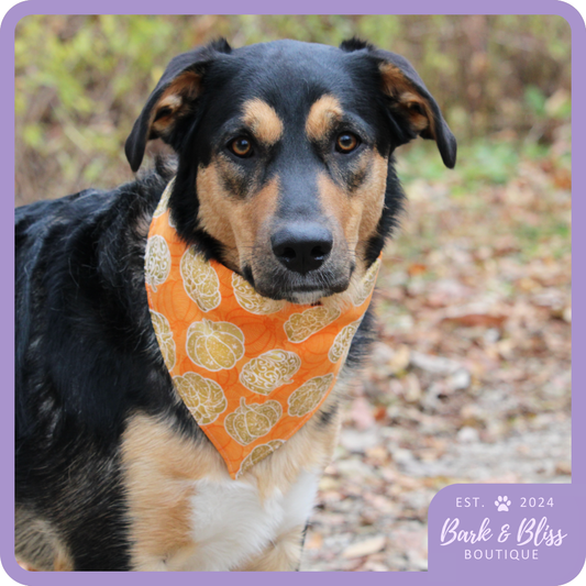 Golden Pumpkin Bandana