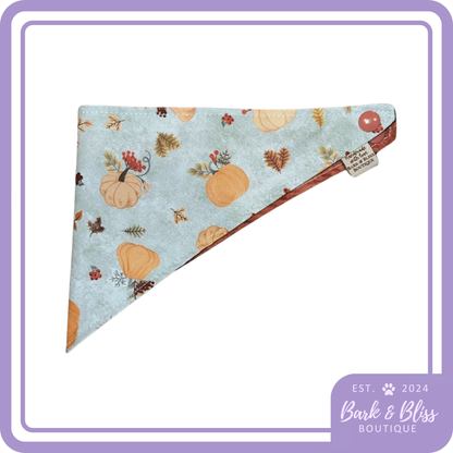 Fall Pumpkins Bandana