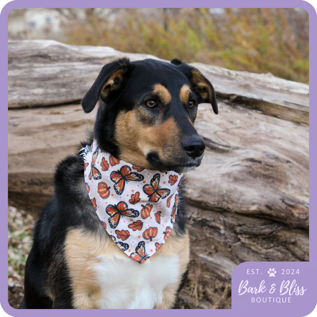 Pumpkins and Butterflies Bandana