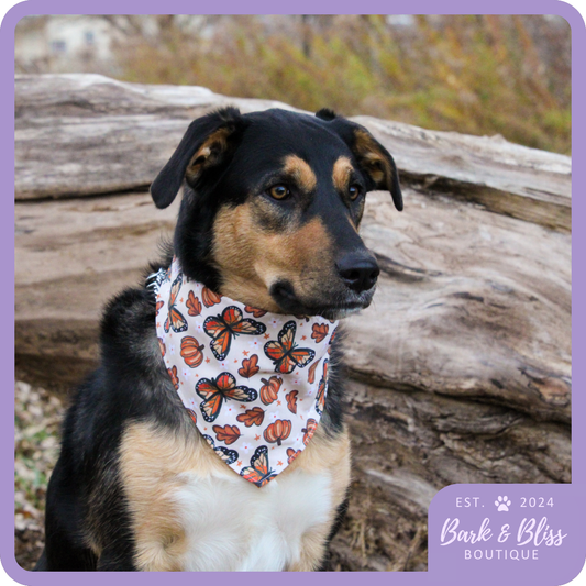 Pumpkins and Butterflies Bandana