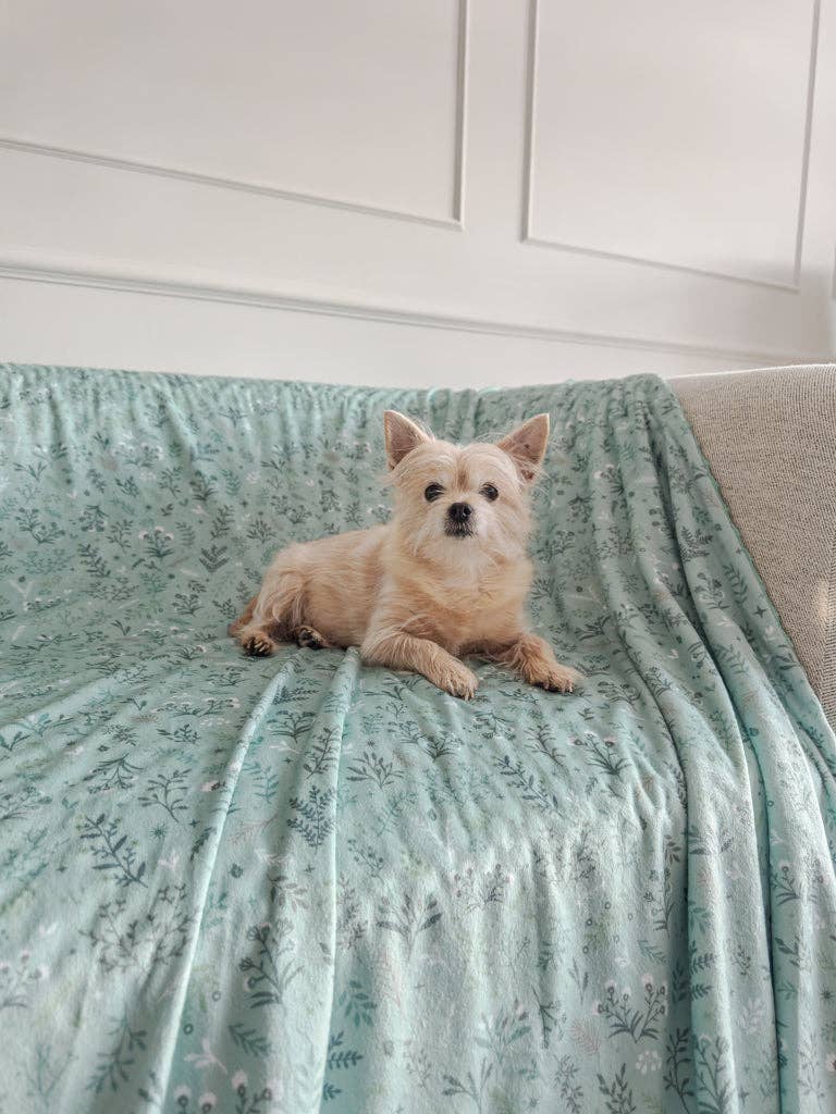 Blanket: Chiswick Pistachio