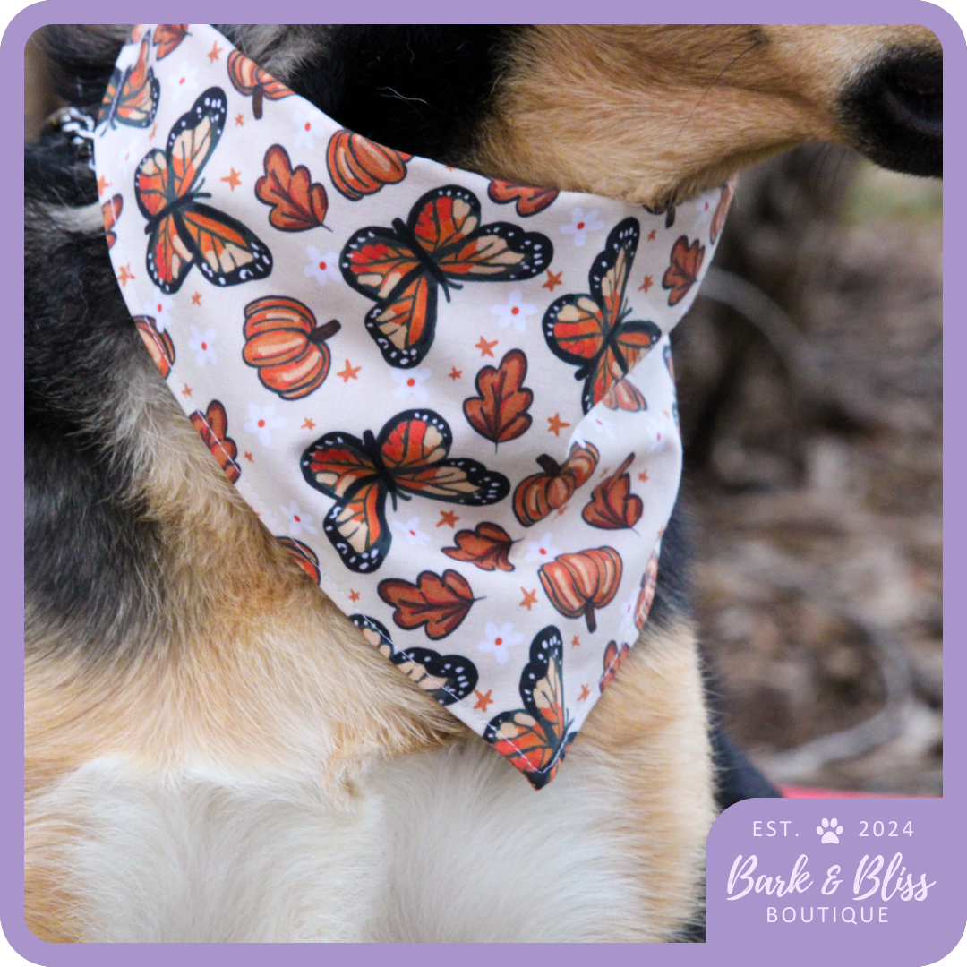 Pumpkins and Butterflies Bandana