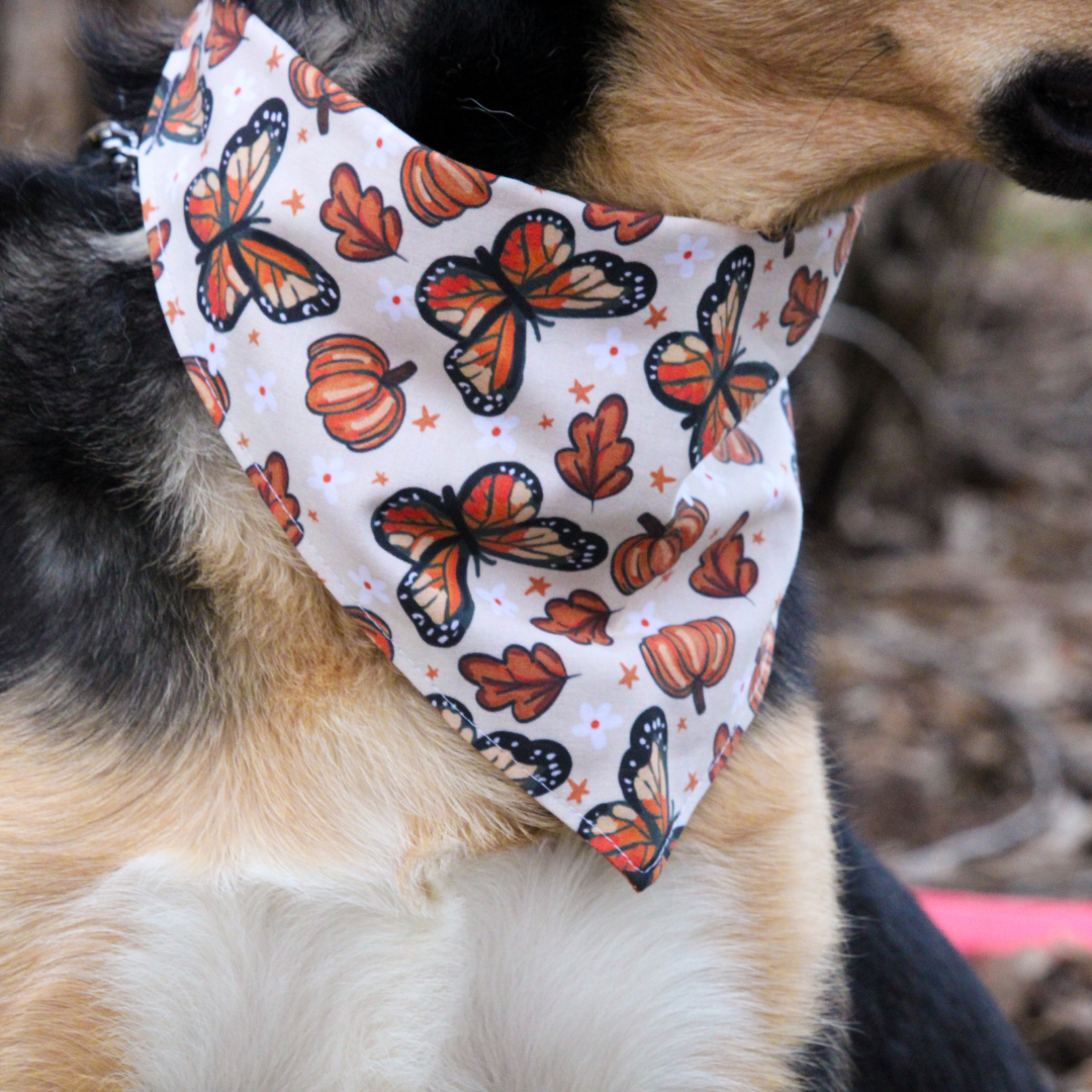 Pumpkins and Butterflies Bandana