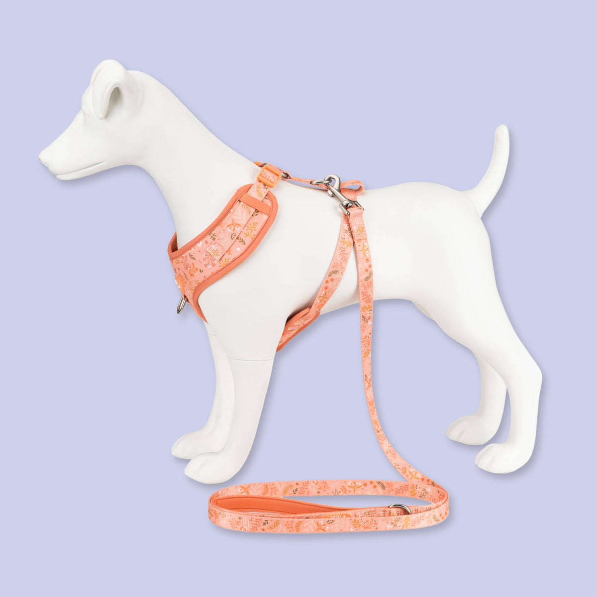 Adjustable Dog Harness: Chiswick Papaya