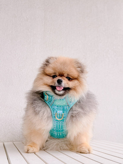 Step & Switch® Dog Harness: Belgravia Sweetpea