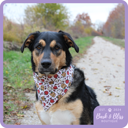 Apple Barrel Bandana