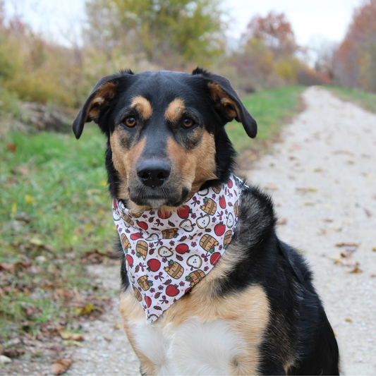 Apple Barrel Bandana