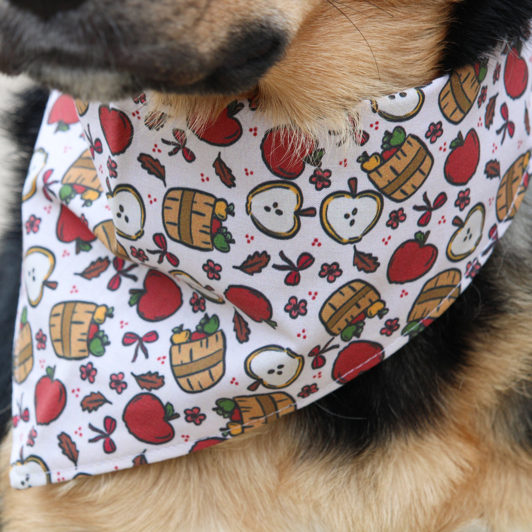 Apple Barrel Bandana