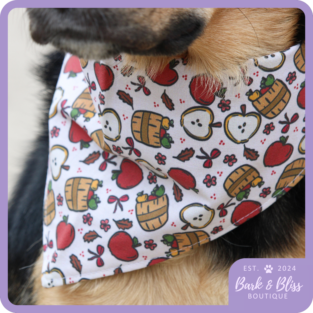 Apple Barrel Bandana
