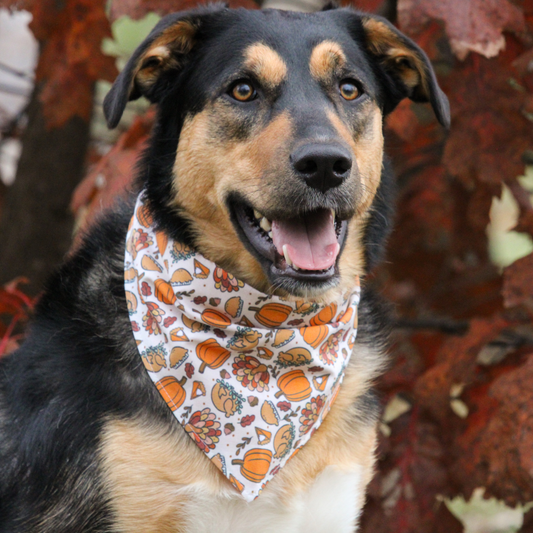 Thanksgiving Bandana