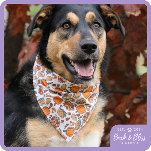 Thanksgiving Bandana