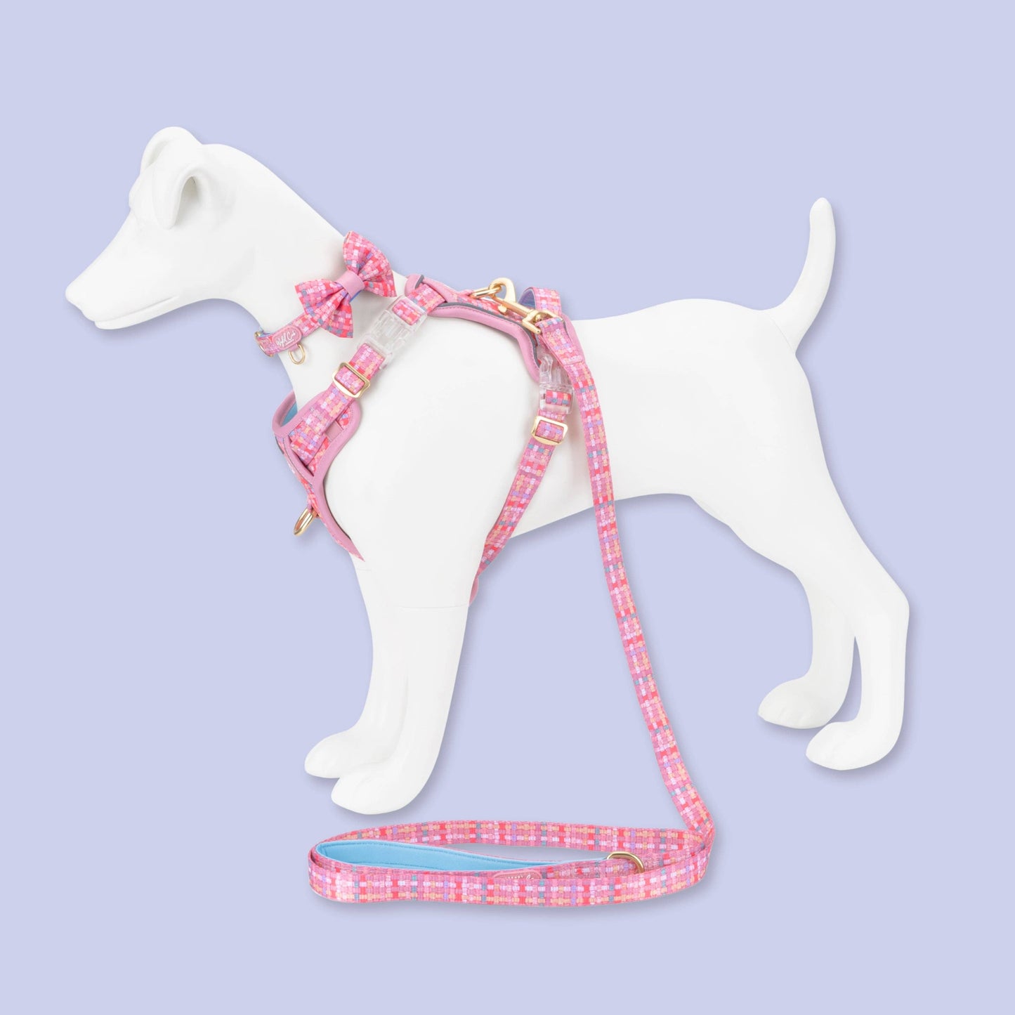 Dog Dickie Bow: Belgravia Bonbon