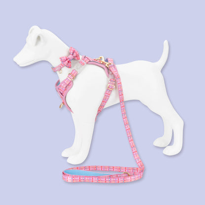 Dog Dickie Bow: Belgravia Bonbon