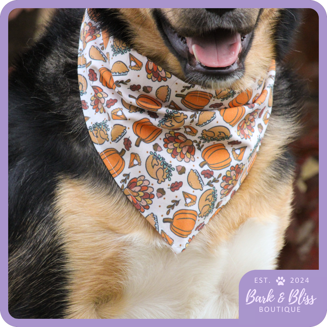 Thanksgiving Bandana