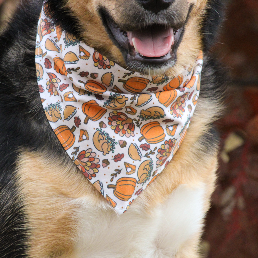 Thanksgiving Bandana