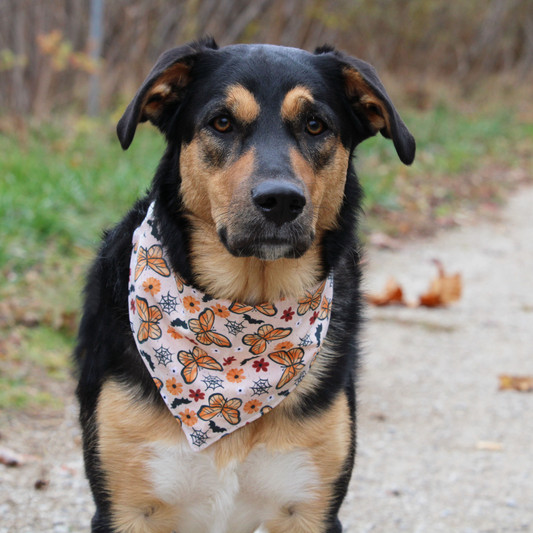 Butterflies and Bats Bandana