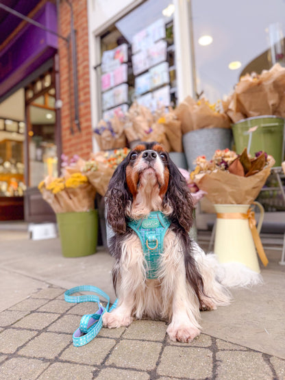 Step & Switch® Dog Harness: Belgravia Sweetpea
