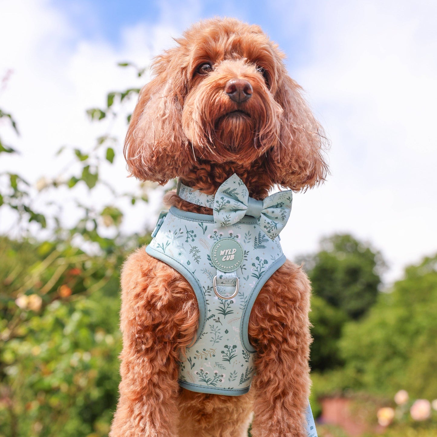 Dog Dickie Bow: Chiswick Pistachio