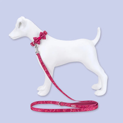 Dog Dickie Bow: Chiswick Dragonfruit