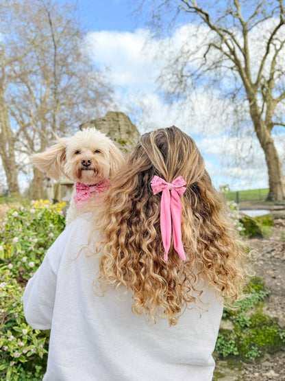 Dog Sailor Bow: Belgravia Bonbon
