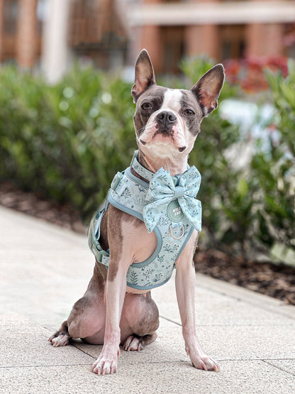Dog Sailor Bow: Chiswick Pistachio
